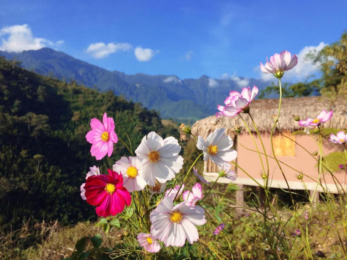 Chapa Farmstay - Mountain Retreat Sapa Εξωτερικό φωτογραφία