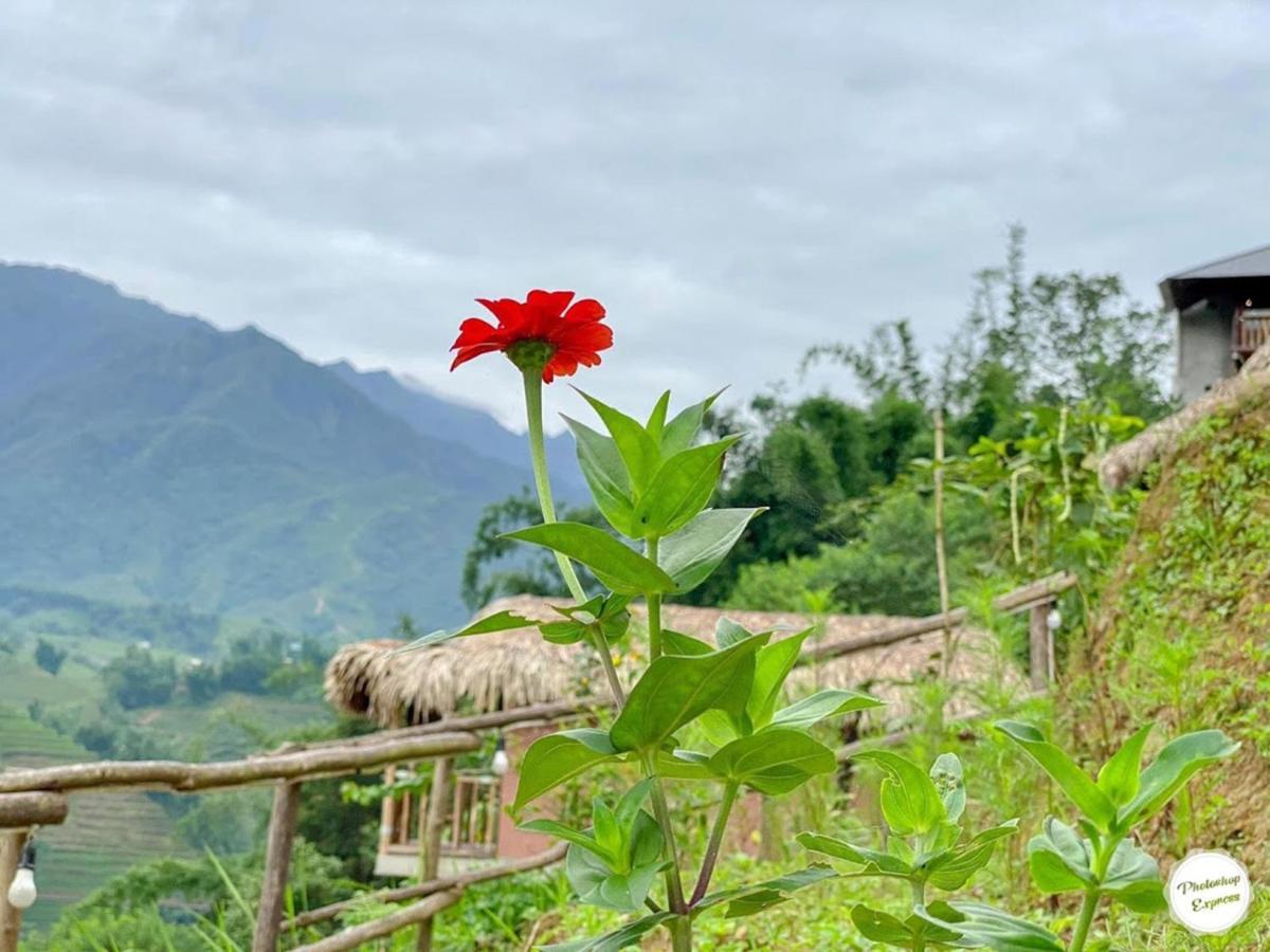 Chapa Farmstay - Mountain Retreat Sapa Εξωτερικό φωτογραφία