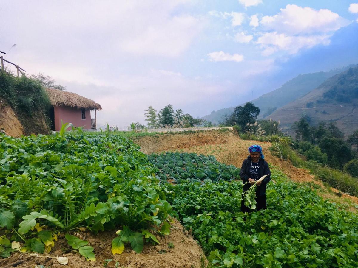 Chapa Farmstay - Mountain Retreat Sapa Εξωτερικό φωτογραφία