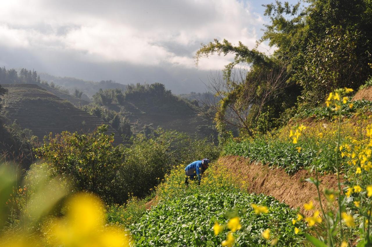 Chapa Farmstay - Mountain Retreat Sapa Εξωτερικό φωτογραφία