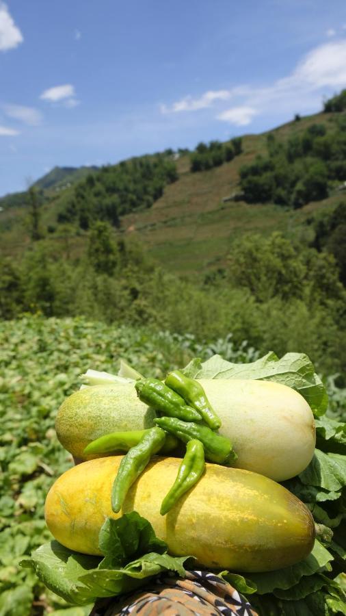 Chapa Farmstay - Mountain Retreat Sapa Εξωτερικό φωτογραφία